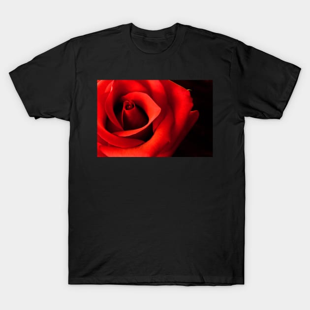 When You Smiled T-Shirt by nikongreg